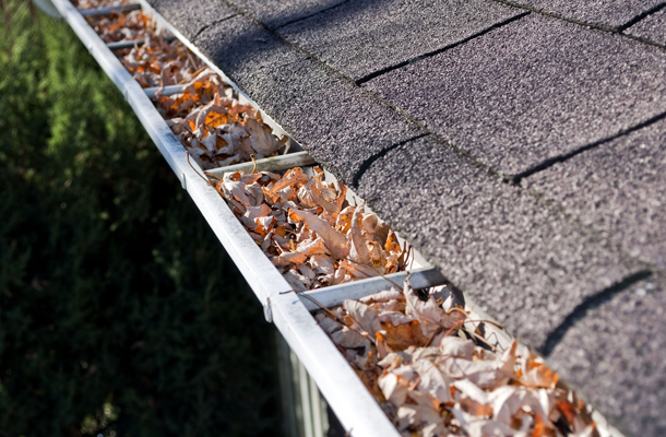 Guttering Cleaning Services